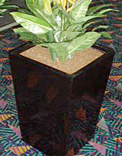 planters